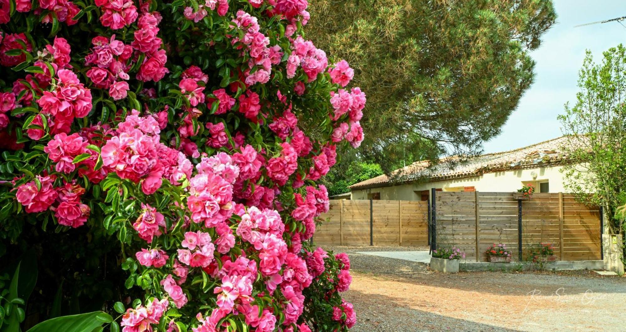 Domaine Les Rousselieres Villa Olonne-sur-Mer Exterior photo