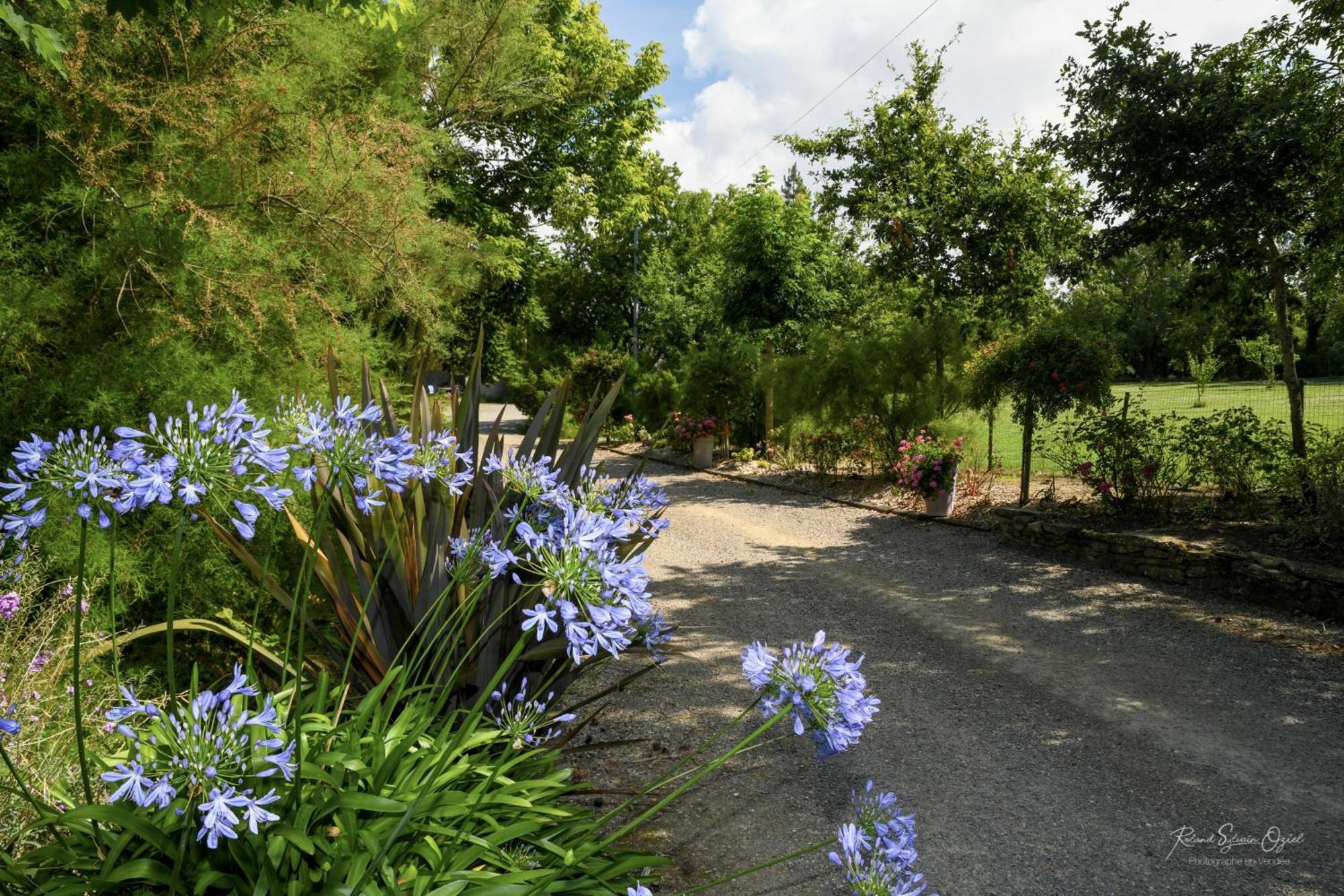 Domaine Les Rousselieres Villa Olonne-sur-Mer Exterior photo